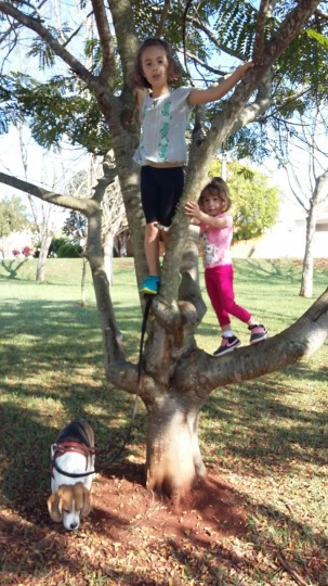 Subindo na árvore, elas adoram! julho 2015